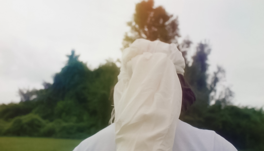 One Magenta Afternoon still 6