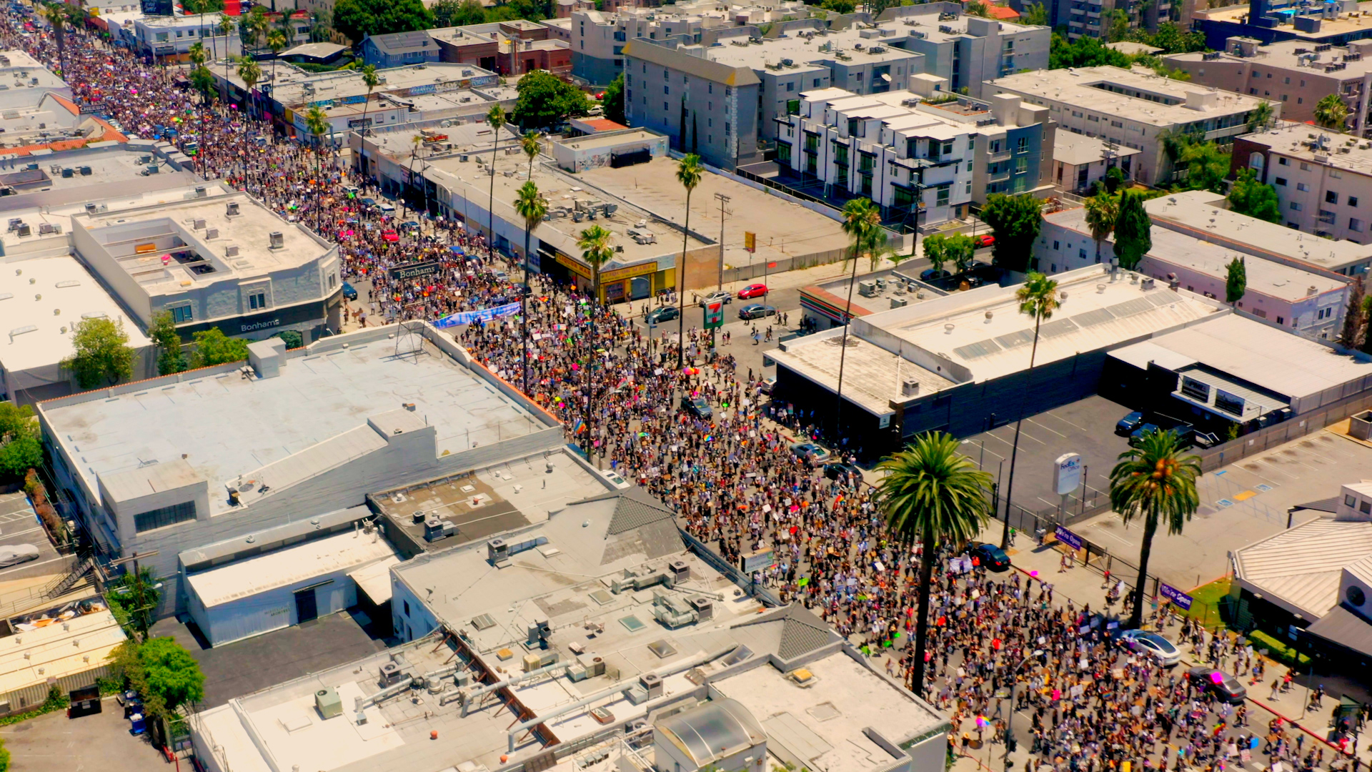 Temple Beauty still 5